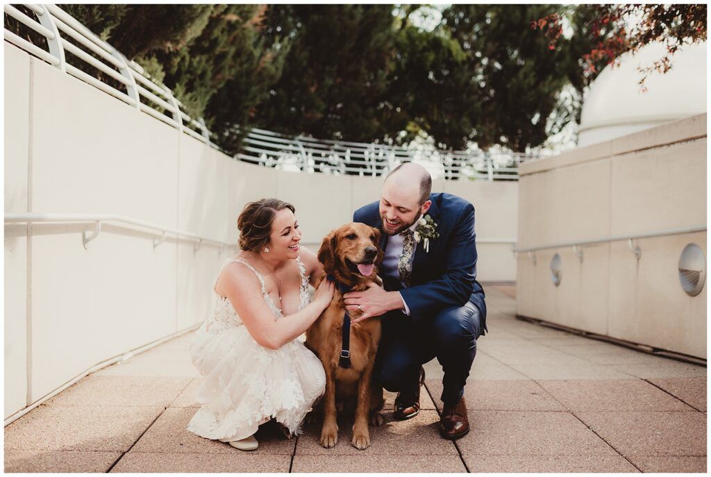 Bride Groom with Dog
