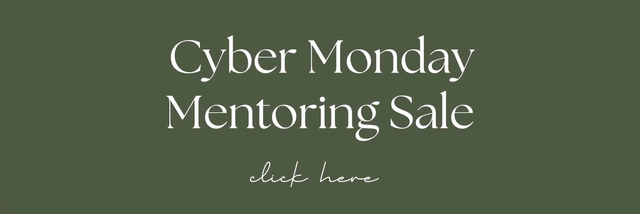 cyber monday mentoring