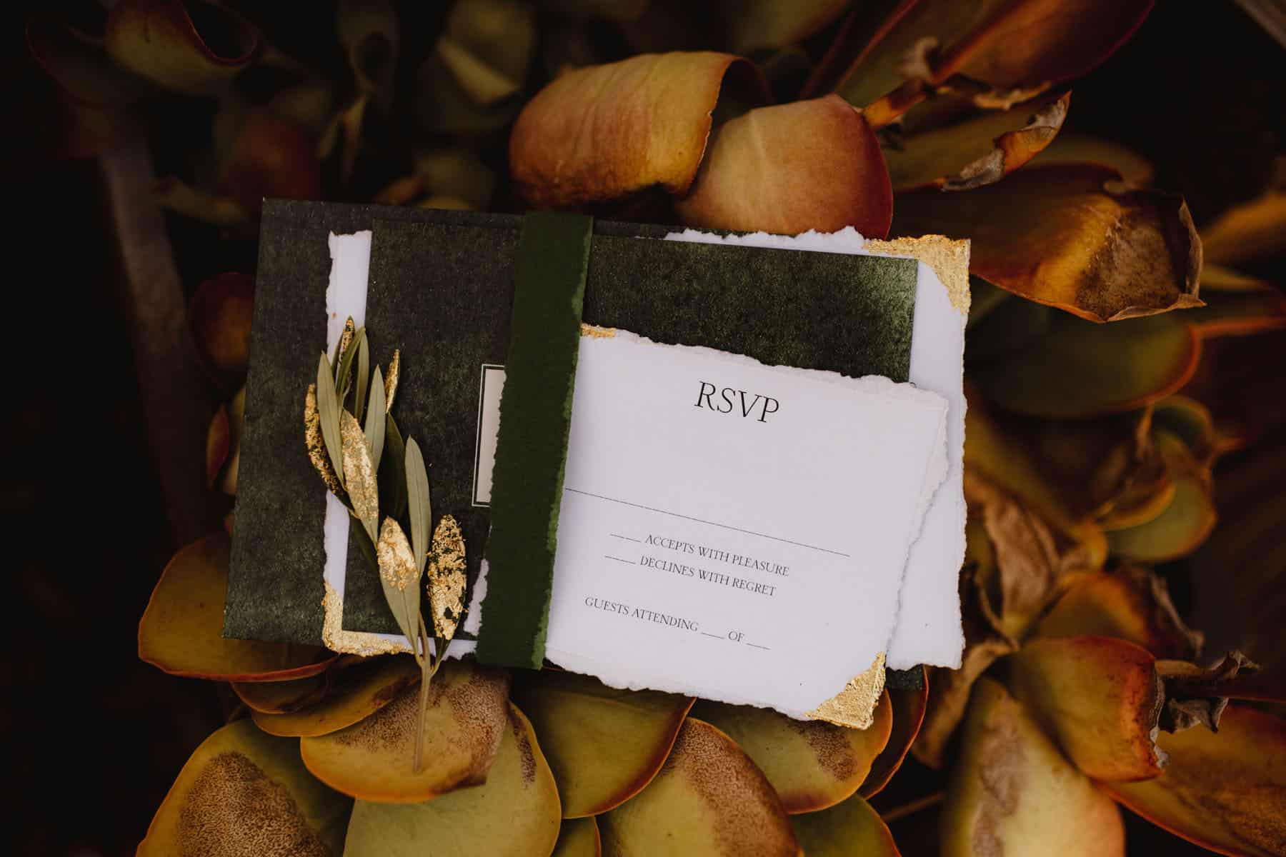 An RSVP card for a wedding, artistically placed on a bed of autumn leaves with decorative botanical elements.