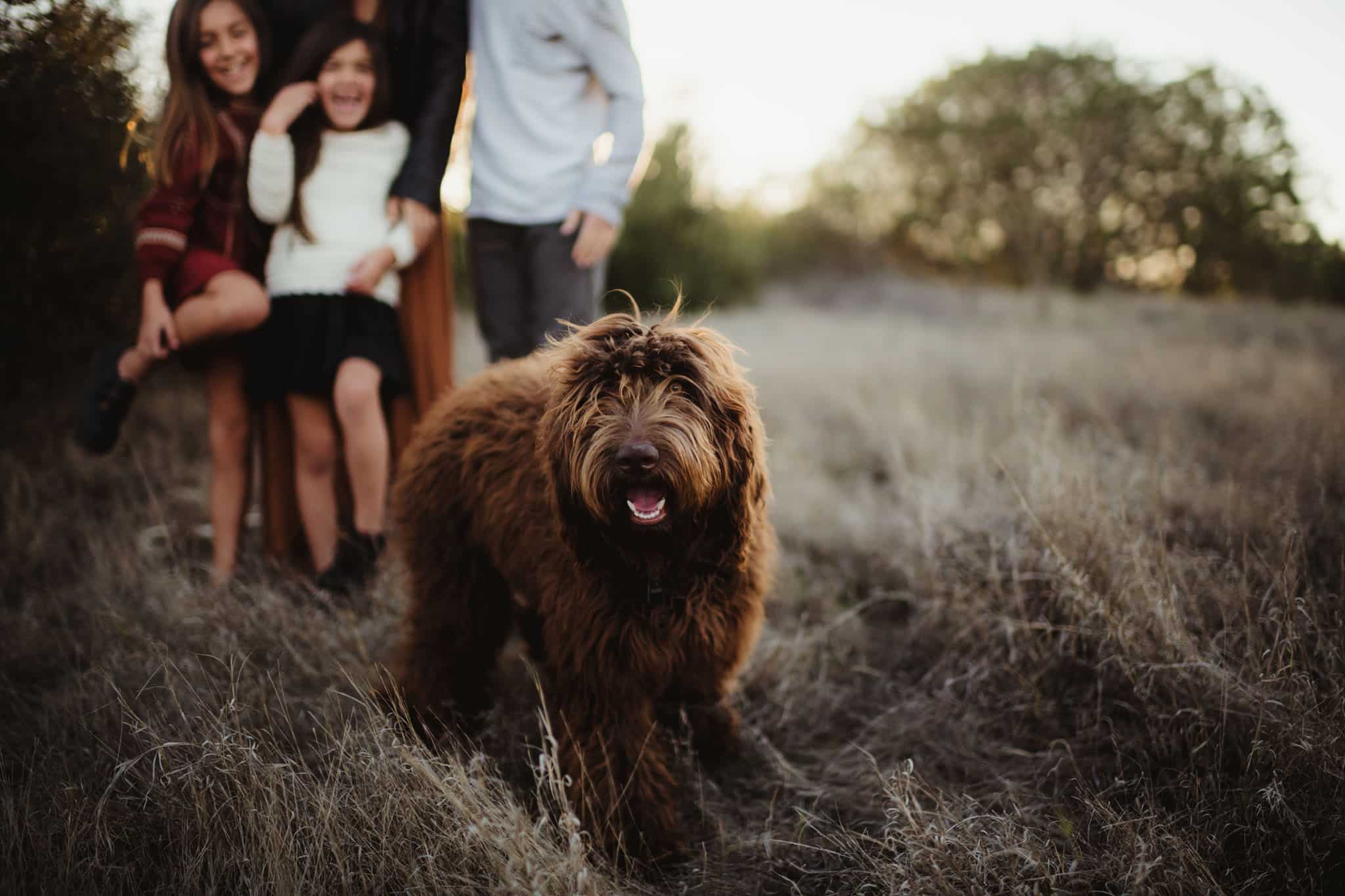 Family relaxing in the grass with their dog during a portrait session