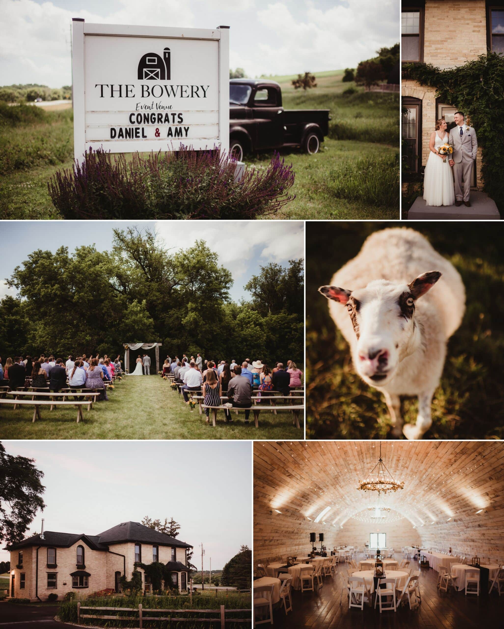 Collage of a rustic wedding at The Bowery in Madison, Wisconsin featuring an outdoor ceremony, a joyful couple, vintage truck, charming sheep, and a rustic reception hall.