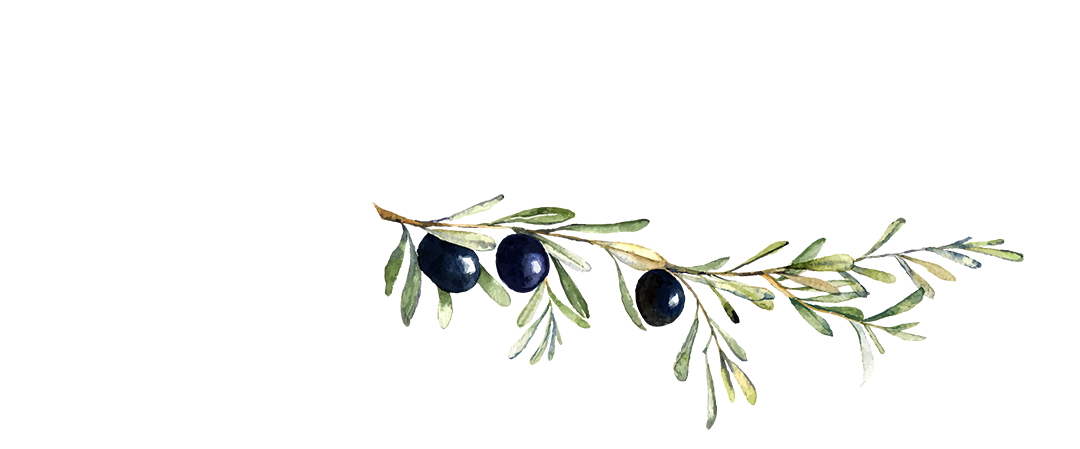 Twig & Olive Photography – Madison Wedding Photographer & Portrait Studio The logo of Twig & Olive Photography featuring elegant script and a watercolor olive branch.