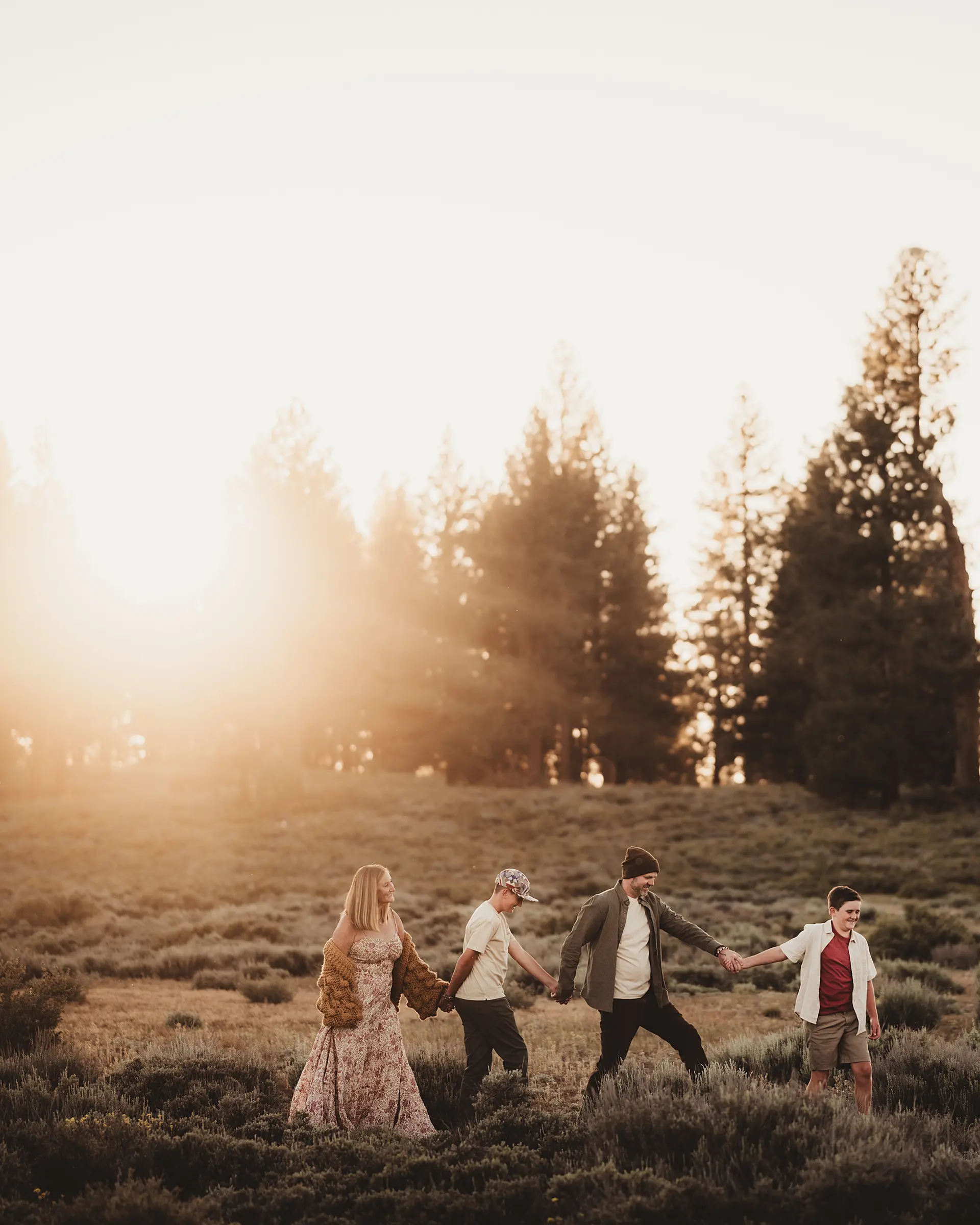 Family of four walking hand in hand across a grassy landscape at sunset with tall trees in the background