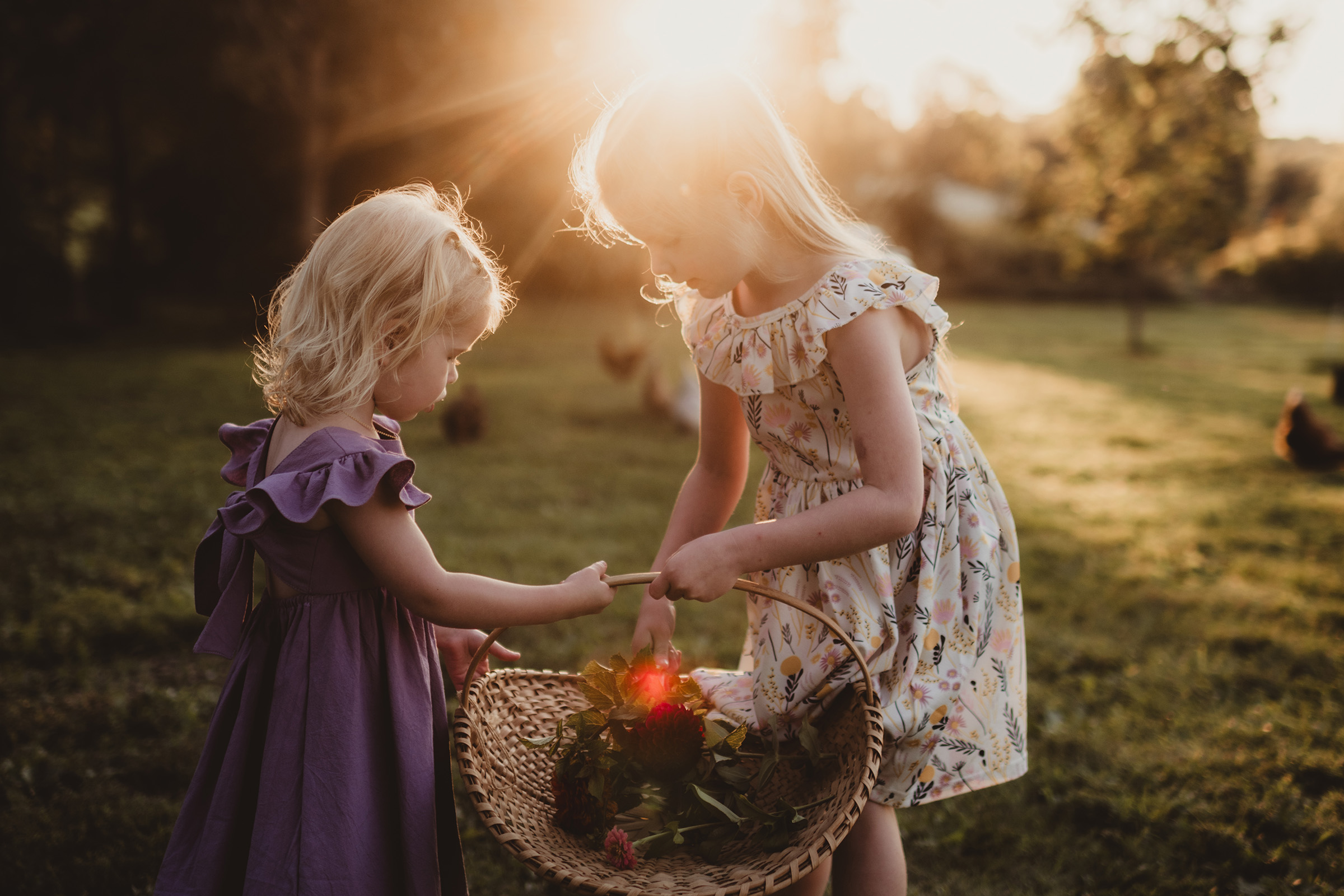Two young girls joyfully gathering flowers in a sunlit field during golden hour.