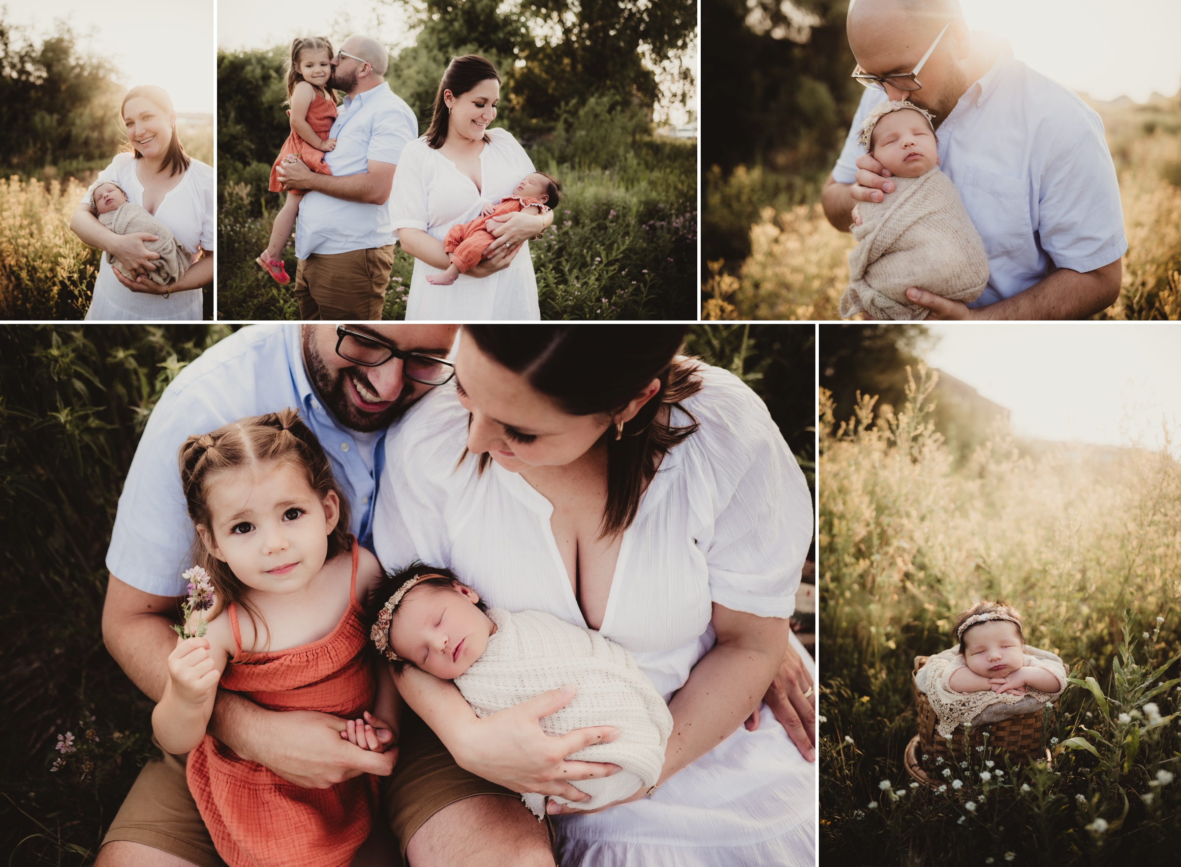 A warm family portrait session in a sunlit field, showcasing a mother cradling her newborn and playful moments with an older sister.