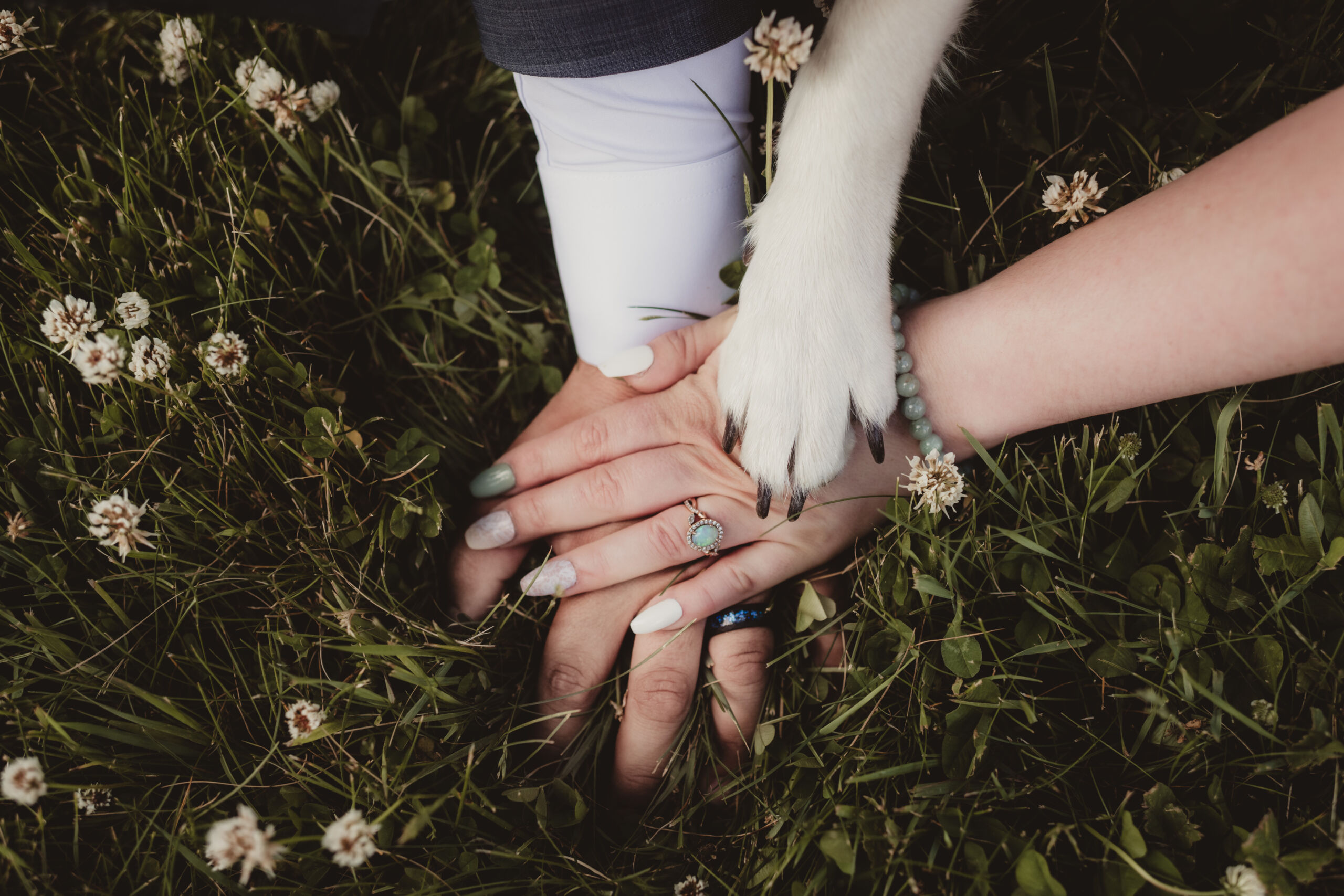 Close-up of hands intertwined in grass, with a dog's paw resting on top, symbolizing love and companionship.