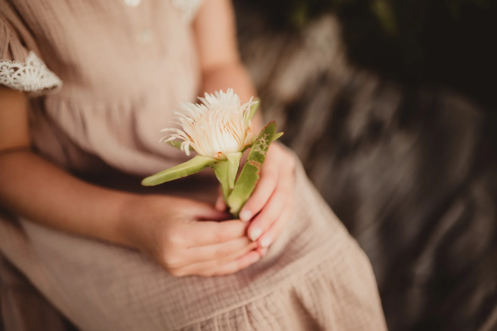 Child holding a flower A close view of a child holding a flower in both hands.