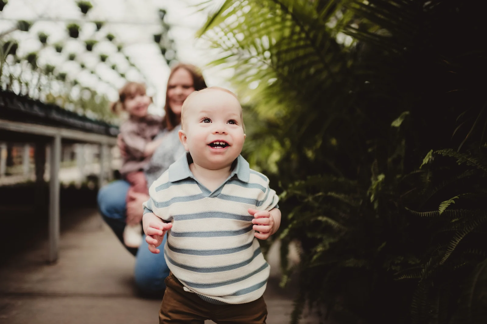 Toddler leading family through a greenhouse A smiling toddler moving toward the camera with family behind in a greenhouse.