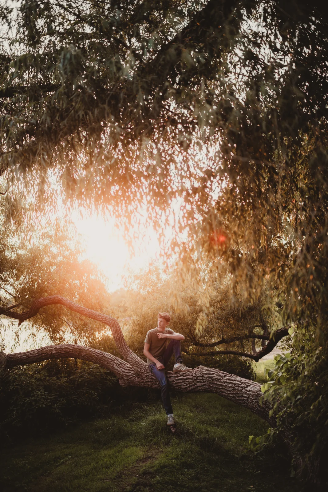 to-senior-2026-senior-on-tree-at-sunset A senior balancing on a broad tree branch in bright evening light.