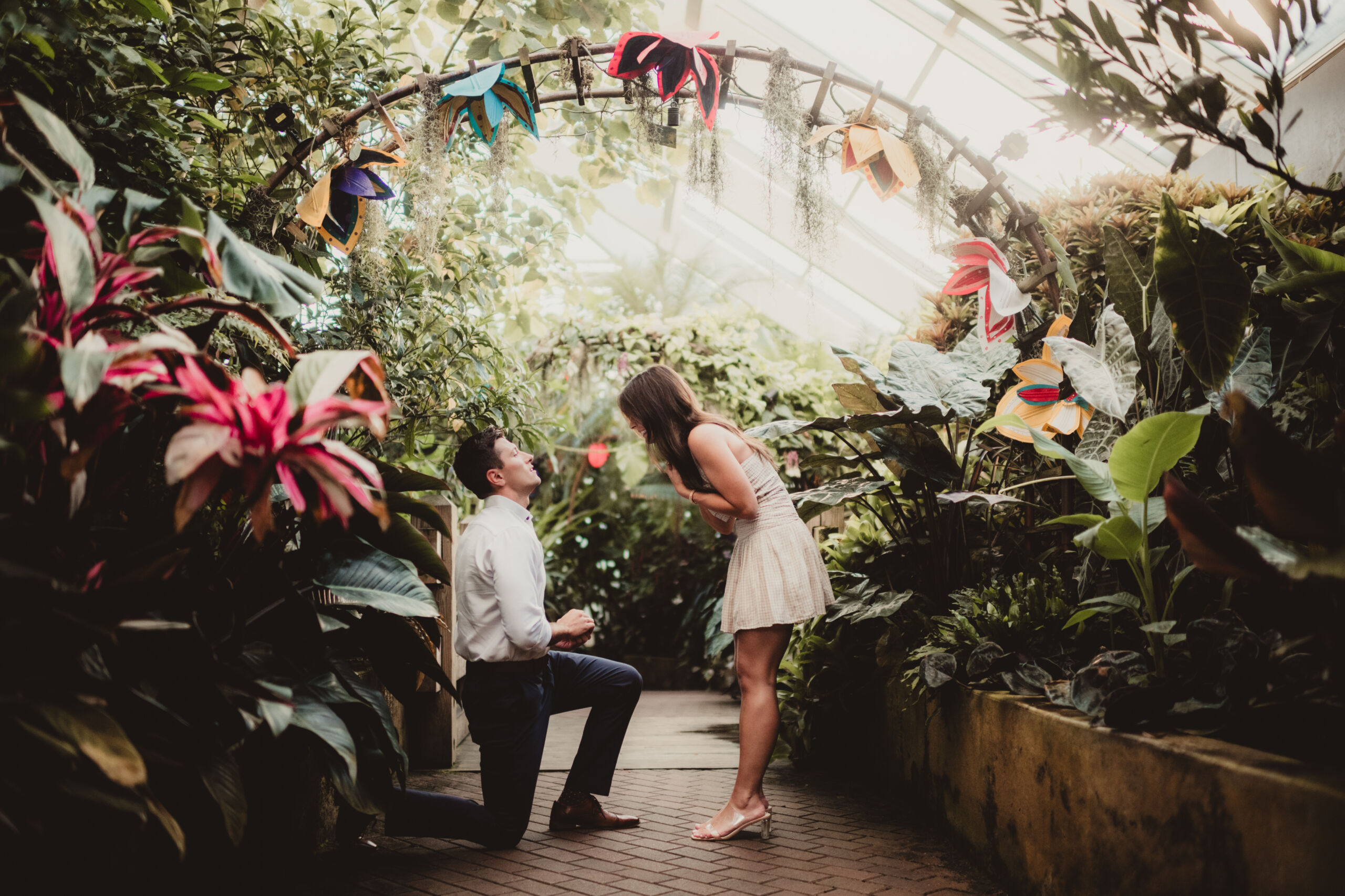 A romantic proposal scene in a greenhouse, with a man on one knee in front of a woman surrounded by vibrant plants and colorful decorations.