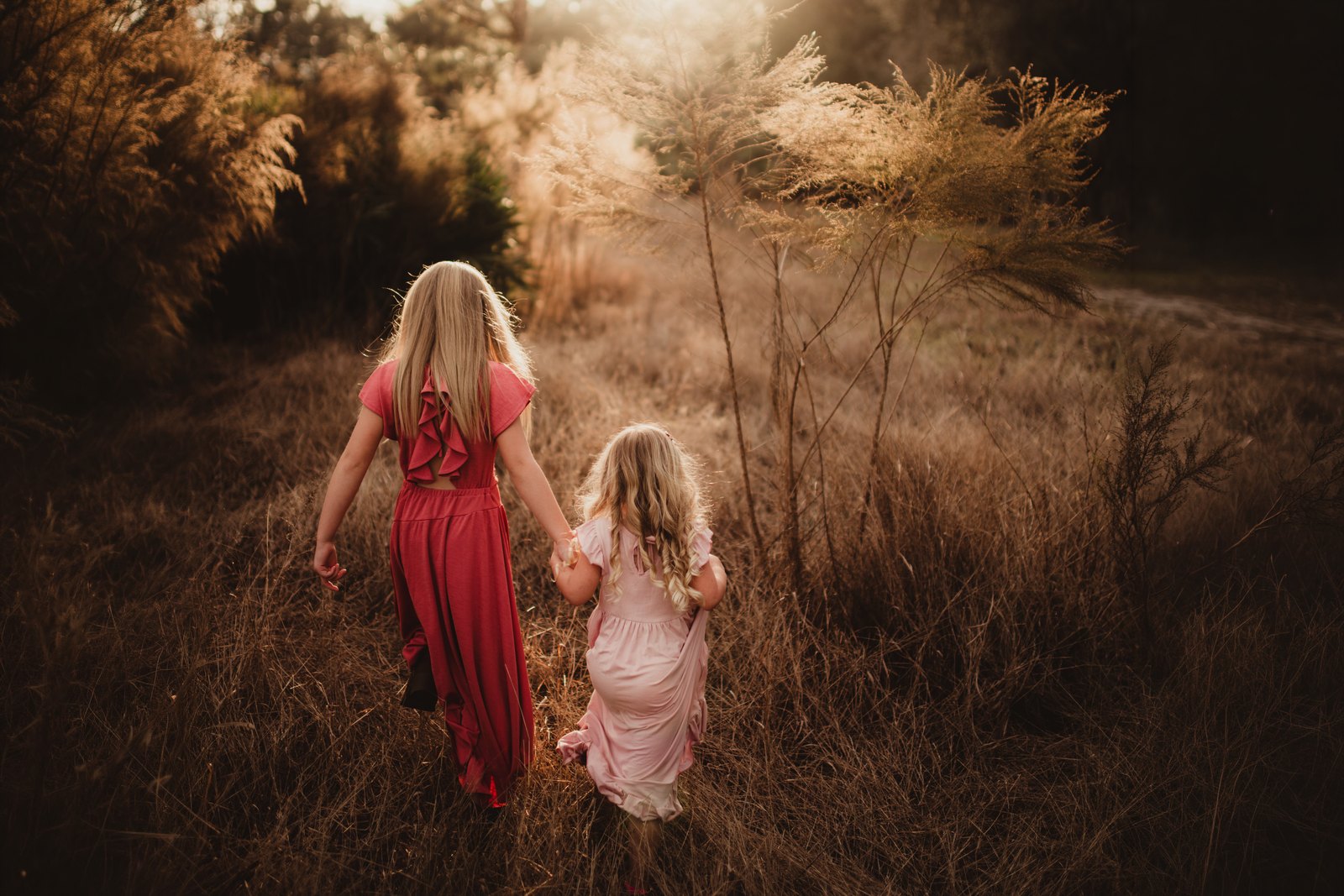 Two children in dresses holding hands as they walk through tall grass at Lake Louisa State Park.